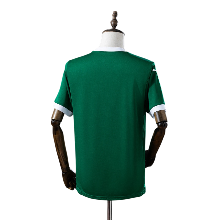 Maillot Palmeiras Domicile 25/26