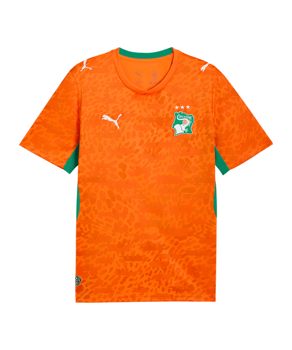 Maillot Cote d'Ivoire Domicile 2026