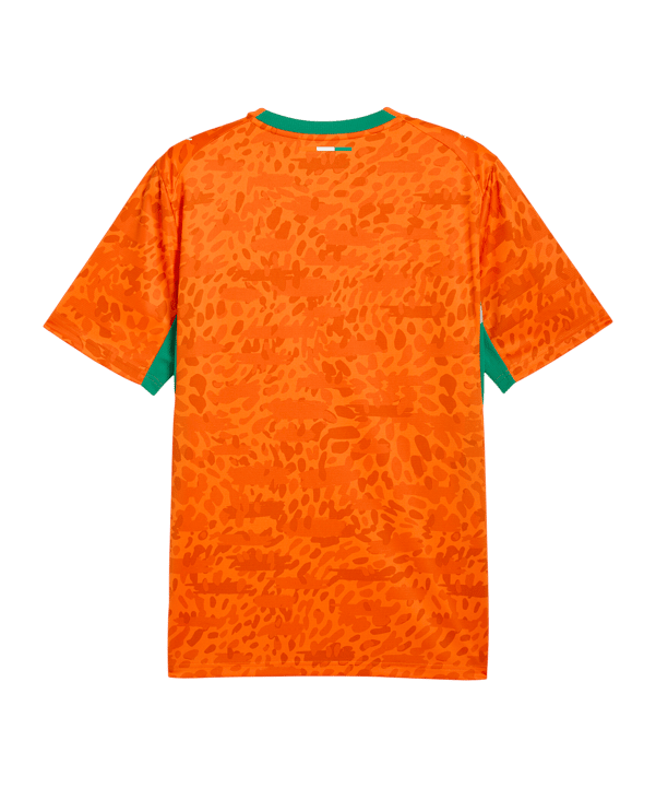 Maillot Cote d'Ivoire Domicile 2026
