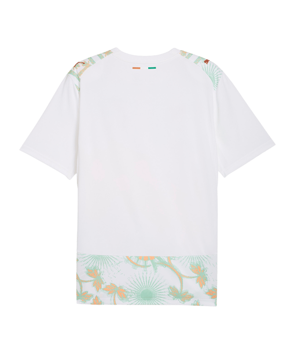 Maillot Cotes d’Ivoire Extérieur 2026